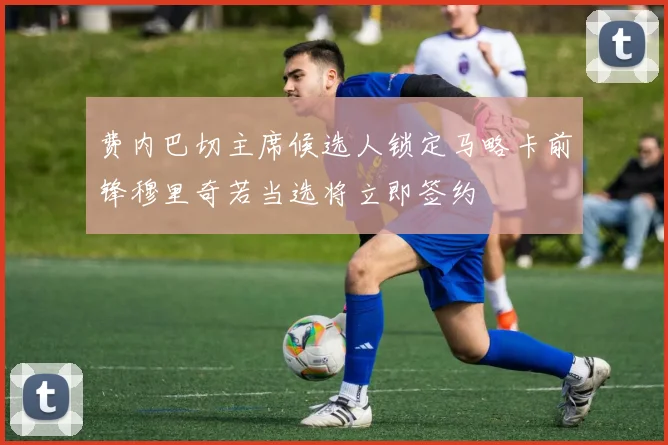 费内巴切主席候选人锁定马略卡前锋穆里奇若当选将立即签约